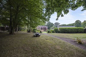 Photo 19- click for photo gallery